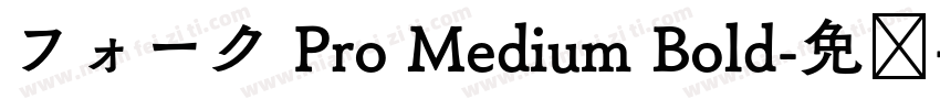 フォーク Pro Medium Bold字体转换